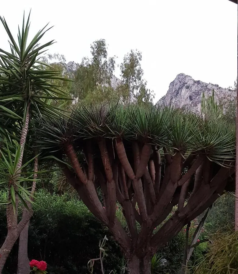Holiday home Addaura Home Palermo