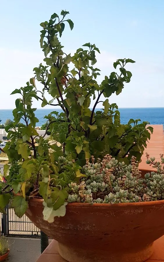 Addaura Home Palermo Holiday home